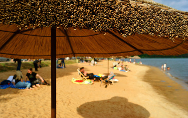 Centrum Turystyczne nad Zalewem Brodzkim - plaża z parasolami, leżakami i żywymi palmami 15