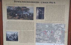 polana3