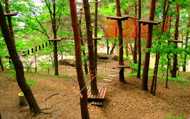 park-linowy-centrum-turystyczne-nad-zalewem-brodzkim-DSC00100