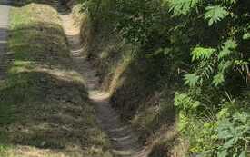 IMG-20260728-WA0002