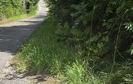 IMG-20260728-WA0003
