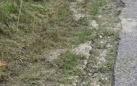 IMG-20260728-WA0006