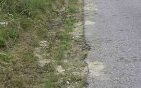 IMG-20260728-WA0007