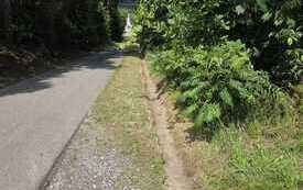 IMG-20260728-WA0005