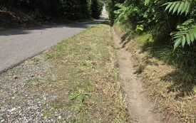 IMG-20260728-WA0004