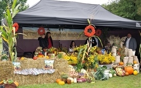 Gminno-Powiatowe Święto Plon&oacute;w w Brodach 115