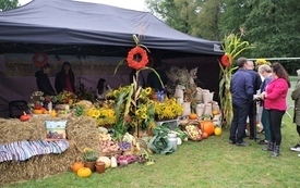 Gminno-Powiatowe Święto Plon&oacute;w w Brodach 118