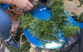 IMG-20261015-WA0022