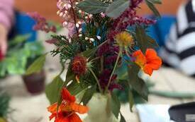 IMG-20261015-WA0007