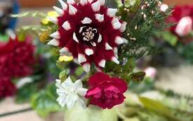 IMG-20261015-WA0002