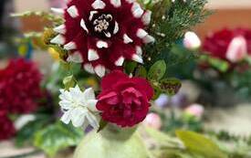 IMG-20261015-WA0001