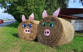 Gminno-Powiatowe Święto Plon&oacute;w w Brodach 178