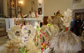 Gminno-Powiatowe Święto Plon&oacute;w w Brodach 204