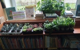 Warsztaty-florystyczne-biblioteka-Brody006