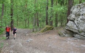 Wędrowali podczas pieszego maratonu &bdquo;Wok&oacute;ł Komina&rdquo; 33