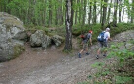 Wędrowali podczas pieszego maratonu &bdquo;Wok&oacute;ł Komina&rdquo; 35