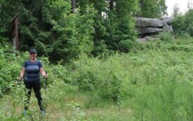 Wędrowali podczas pieszego maratonu &bdquo;Wok&oacute;ł Komina&rdquo; 53
