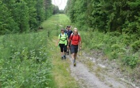 Wędrowali podczas pieszego maratonu &bdquo;Wok&oacute;ł Komina&rdquo; 56
