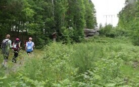 Wędrowali podczas pieszego maratonu &bdquo;Wok&oacute;ł Komina&rdquo; 69