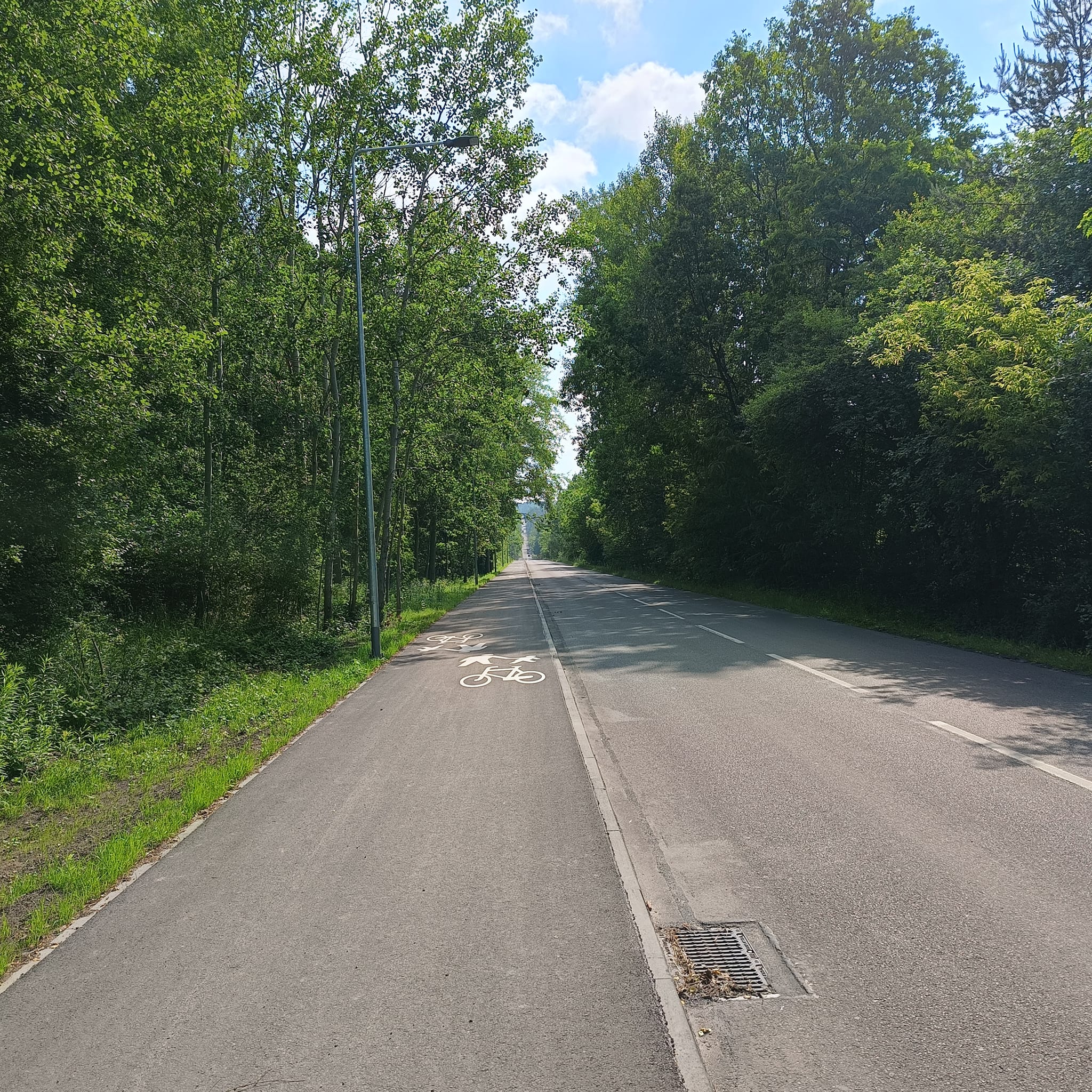 Zdjęcie odnowieonej drogi. Zakończyła się przebudowa drogi powiatowej od skrzyżowania z&nbsp;drogą Lubienia - Starachowice do skrzyżowania z&nbsp;drogą do Lipia. Poprawiono drogę na&nbsp;odcinku drogi o&nbsp;długości 1 570 mb. Wykonano także ciąg pieszo-jezdny na&nbsp;długości 650 mb, na&nbsp;terenie gminy Starachowice.  Dofinansowanie z&nbsp;programu "Polski Ład" wynosi ok. 5,3 mln zł. Na wkład własny składają się samorządy: gmina Brody - ok. 166 tys. zł, miasto Starachowice - ok. 242 tys. zł oraz&nbsp;powiat starachowicki - ok. 116 tys. zł. Wykonawcą rob&oacute;t było Przedsiębiorstwo Rob&oacute;t Drogowych Roadstar Sp. z&nbsp;o. o. Adrian Cieśla ze Starachowic.