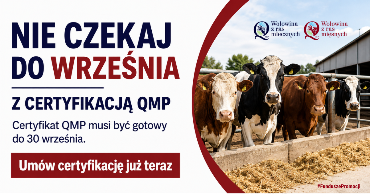Polskie Zrzeszenie Producent&oacute;w Bydła Mięsnego, zaprasza hodowc&oacute;w do uczestnictwa w&nbsp;systemie certyfikacji QMP.  Korzyści z&nbsp;członkostwa są następujące:  Płatność w&nbsp;ekoschematach 202 PLN do krowy mamki i&nbsp;105 PLN do opasa; możliwość uzyskania wyższej ceny za żywiec wołowy. Produkcja w&nbsp;Systemie QMP to szansa na&nbsp;wyższą cenę; większe szanse na&nbsp;uzyskanie wsparcia z&nbsp;KPS &ndash; dodatkowe punkty.  Najpierw, we wniosku o&nbsp;płatność dobrostanową, trzeba zadeklarować się do przestrzegania praktyki &bdquo;Utrzymywanie zgodnie z&nbsp;wymaganiami system&oacute;w jakości&rdquo;. Do zrealizowania praktyki, konieczne jest uzyskanie certyfikatu. Trzeba go wyrobić do 30 września br., za pośrednictwem upoważnionych jednostek.  Podstawowe wymagania dla hodowc&oacute;w i&nbsp;listę jednostek certyfikujących można znaleźć na&nbsp;stronie: Strefa producenta żywca wołowego - qmpsystem.eu