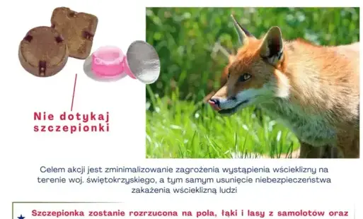 Zdjęcie artykułu z dnia 02-10-2025