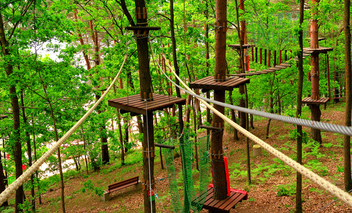Park linowy na terenie Centrum Turystycznego w Rudzie w trybie letnim