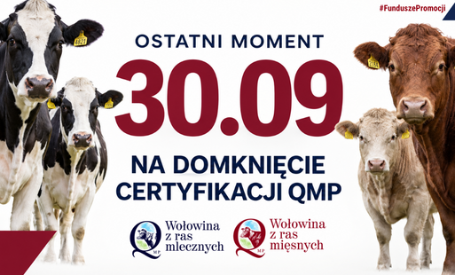 Zdjęcie do 30 września 2026 r. upływa termin uzyskania certyfikatu QMP