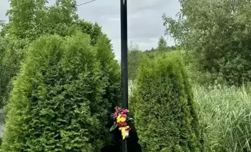 #turystyka #GminaBrody #historia #lokalnie #zwiedzamy #wycieczki #TurystykaPiesza #RowerowaPrzygoda #TurystykaAktywna #ZielonaPolska