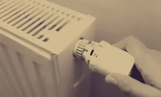 Zdjęcie artykułu z dnia 05-11-2025