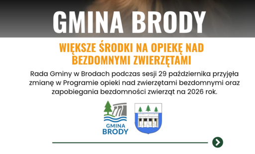 Zdjęcie do Gmina Brody zwiększa środki na opiekę nad bezdomnymi zwierzętami