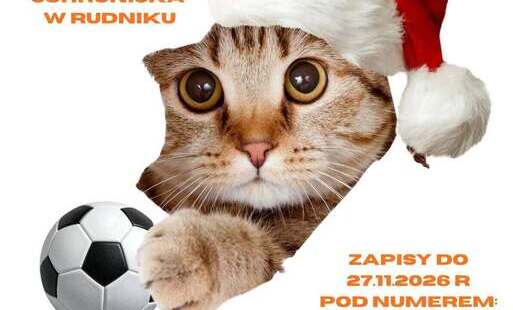 Zdjęcie do Mikołajkowy turniej piłkarski połączony ze zbi&oacute;rką dar&oacute;w dla schroniska